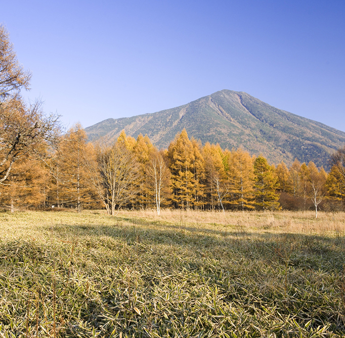 Tochigi