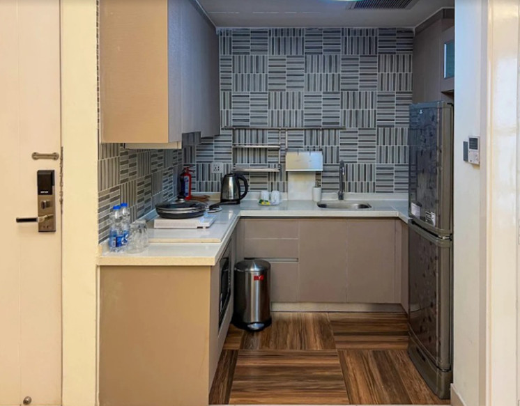 1 BHK Apartments for Rent