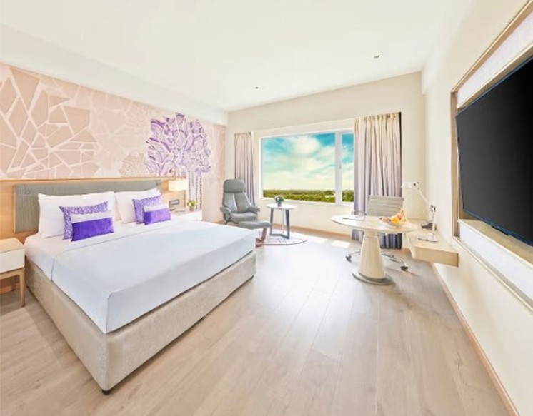 Superior Room for Rent