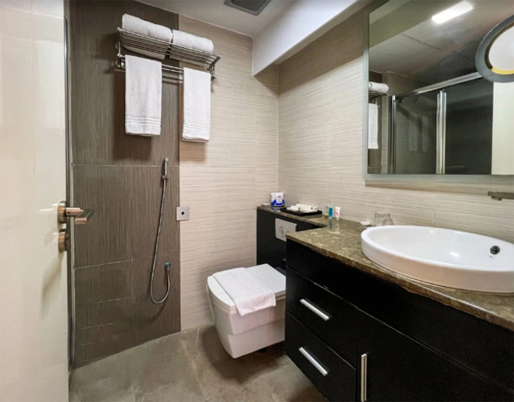 1 BHK Apartments for Rent