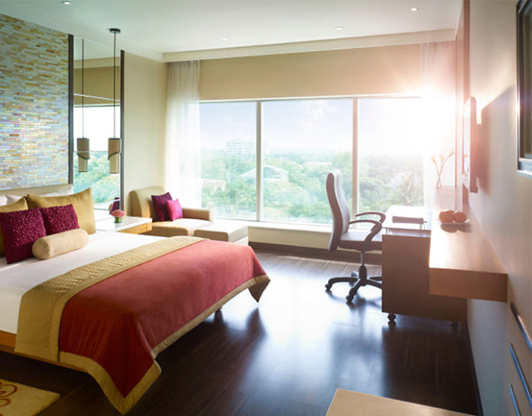Superior Room for Rent