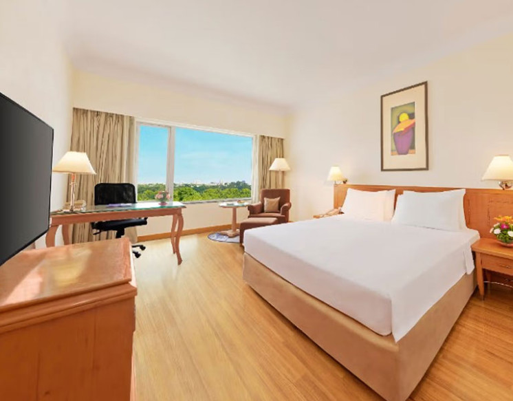 Superior Room for Rent