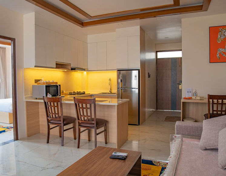 1 BHK Apartments for Rent