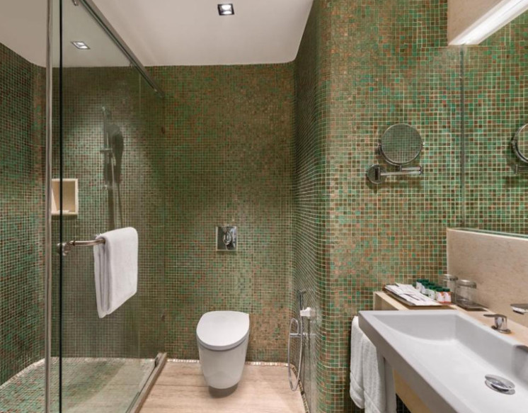 1 BHK Apartment for Rent	