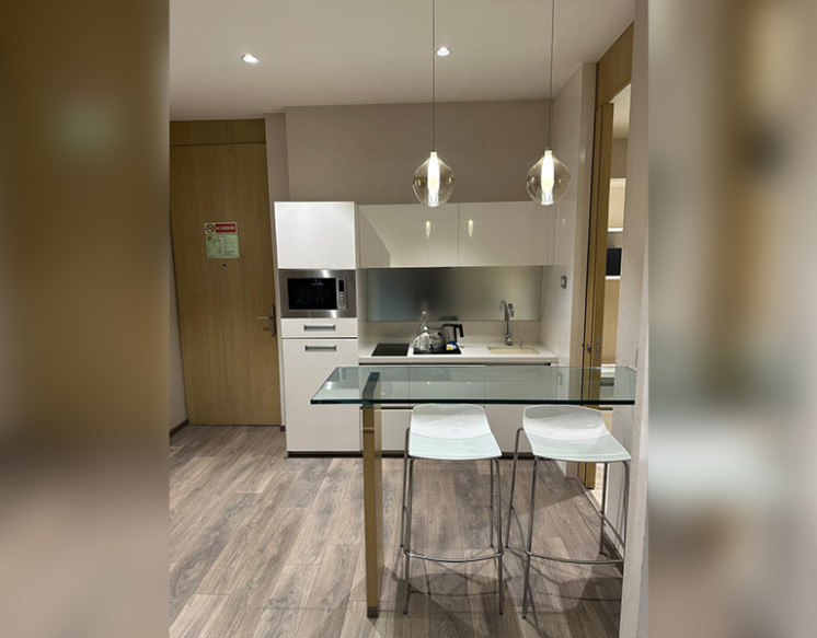 1 BHK Apartments for Rent