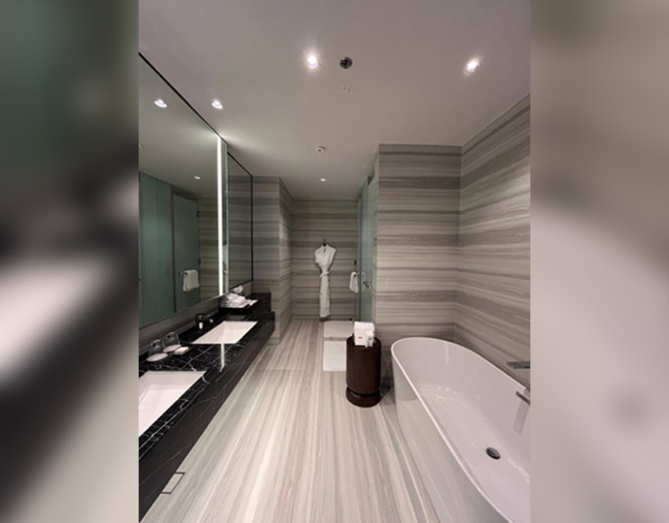 1 BHK Apartments for Rent