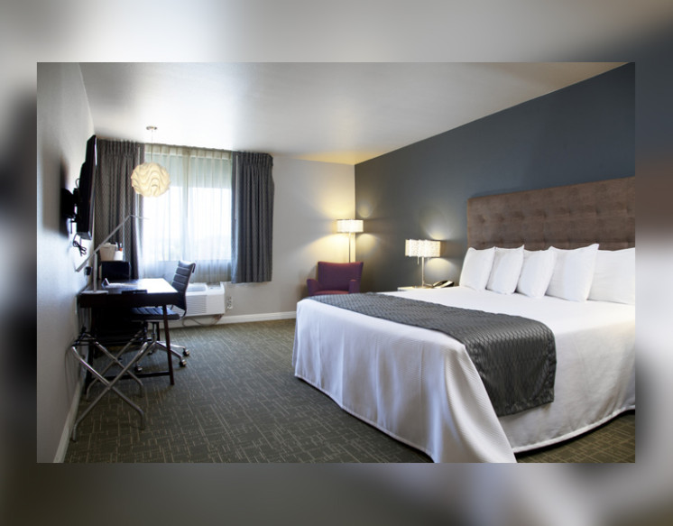 Standard Single Room for Rent