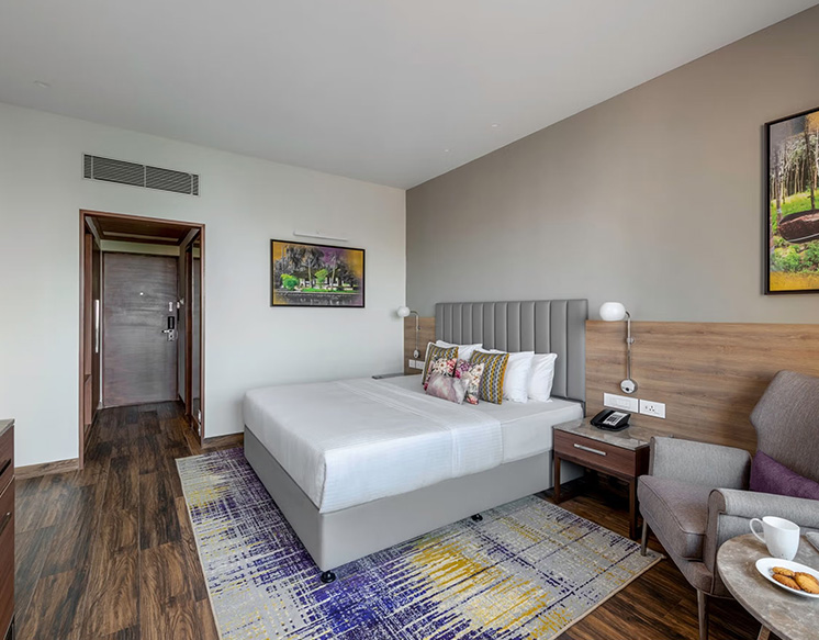 1 BHK Superior Room for Rent