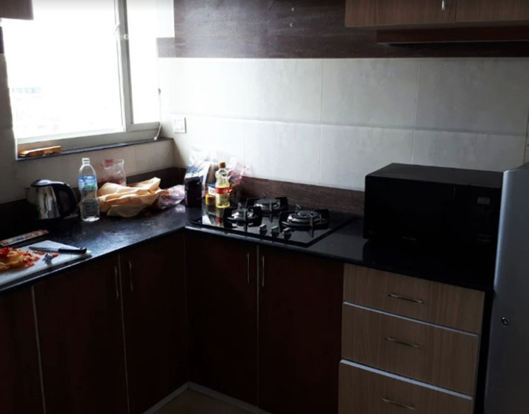 Dhaulagiri Suite for Rent