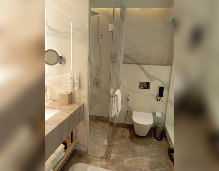 1 BHK Apartment for Rent