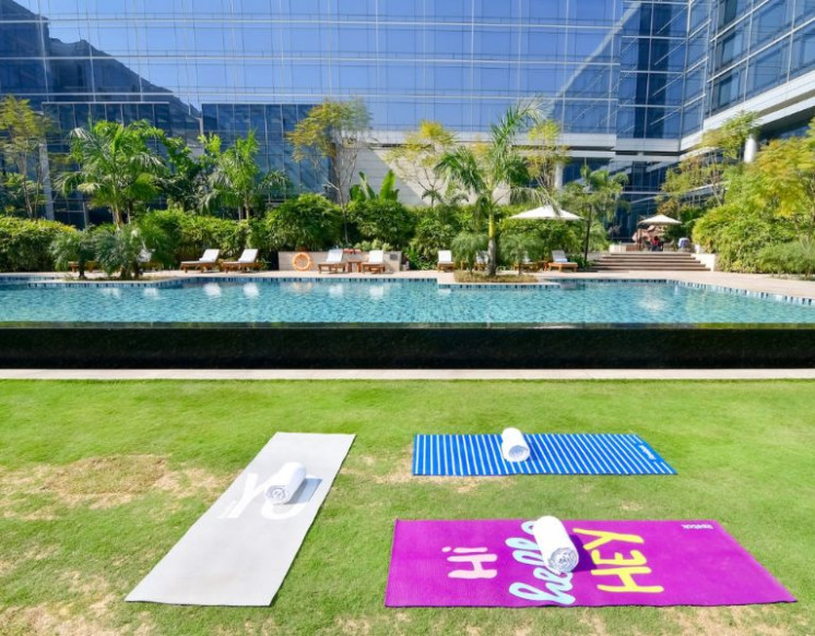  3 BHK Apartments for Rent