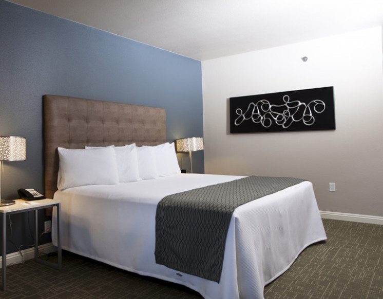 Standard Single Room for Rent