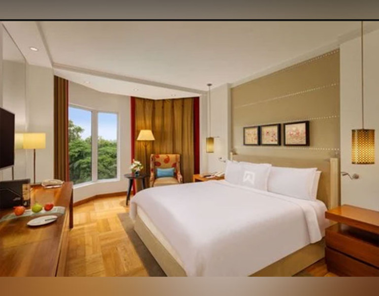 Standard Room for Rent